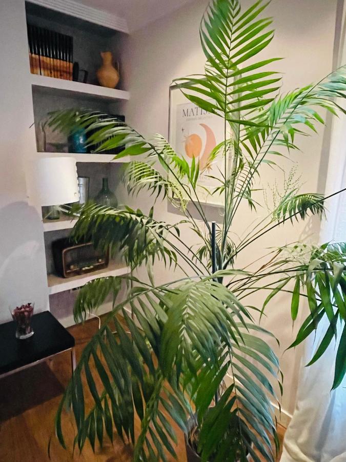 Apartament Casa Lola León Zewnętrze zdjęcie